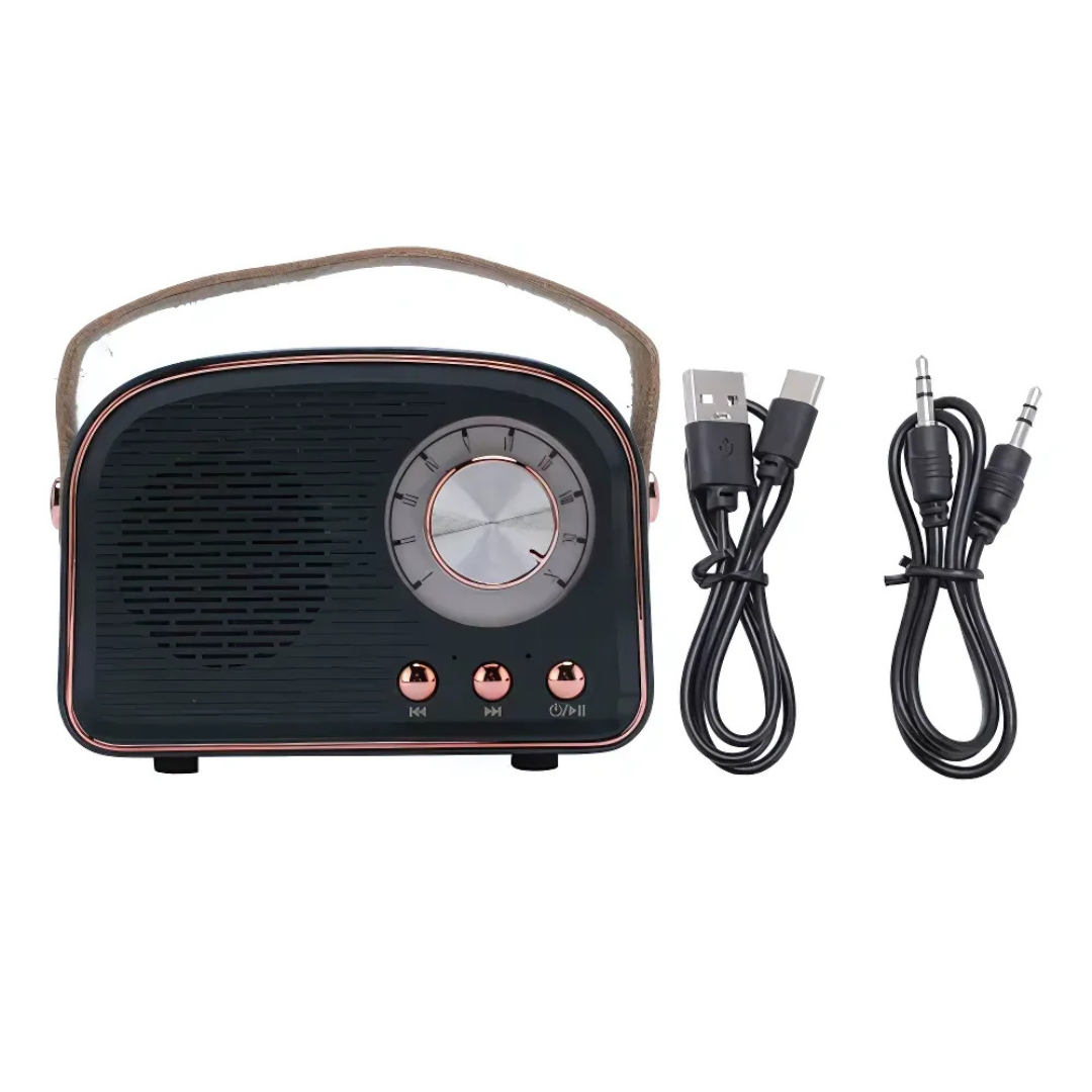 VintageLyric | Bärbar Bluetooth-högtalare med FM-radio