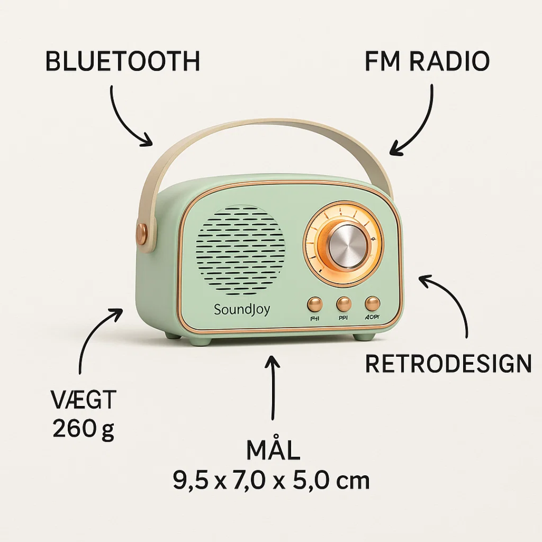 VintageLyric | Bärbar Bluetooth-högtalare med FM-radio
