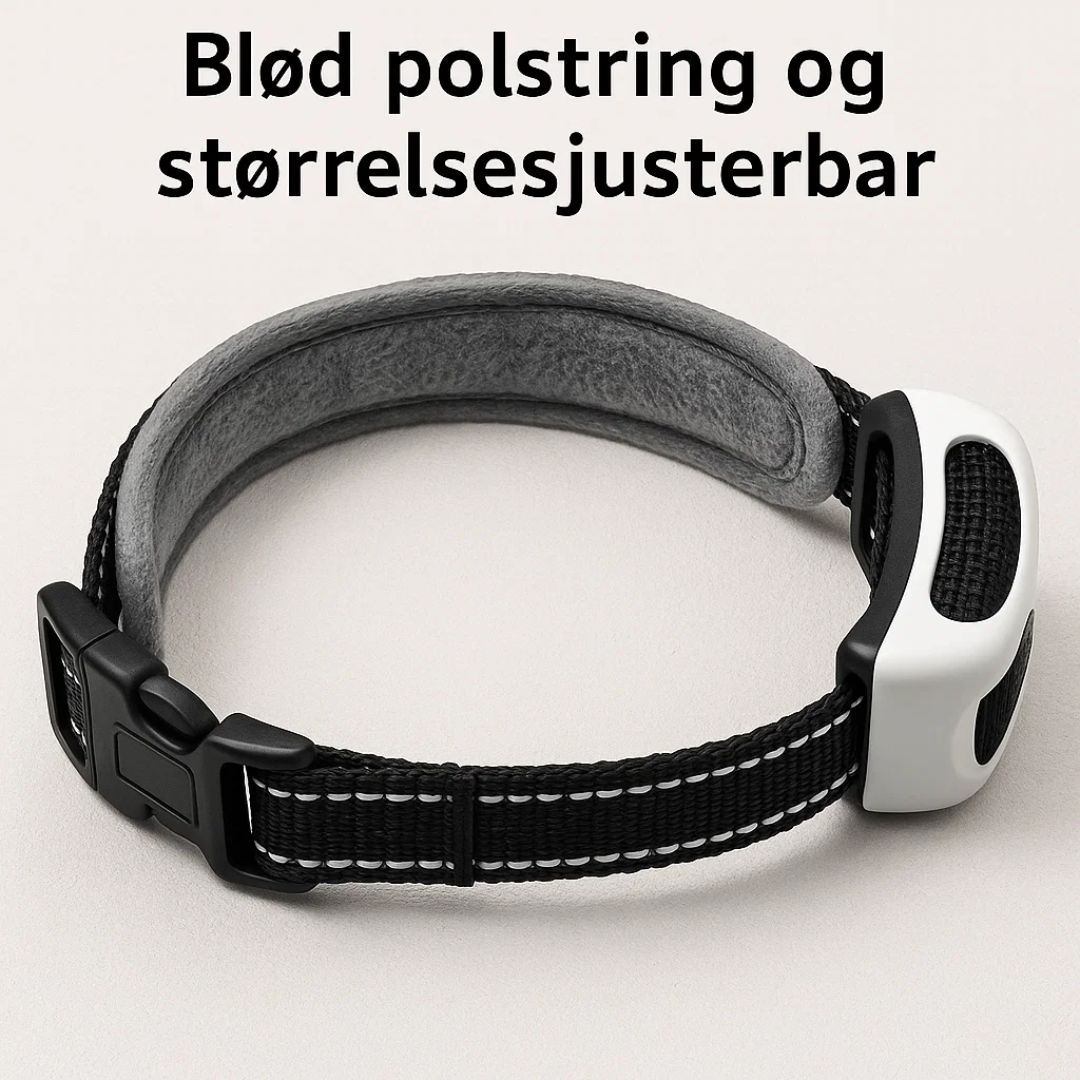 SmartDog | Trådløs Sikkerhedsløsning til Din Hund