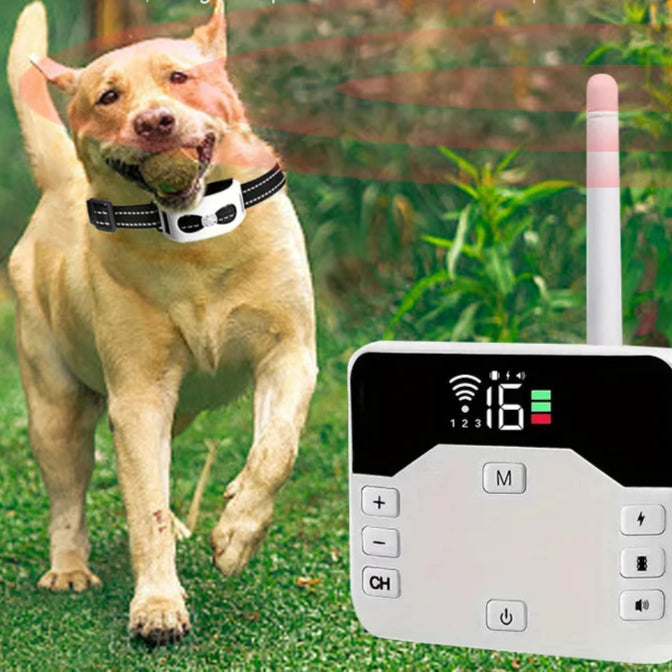 SmartDog | Trådløs Sikkerhedsløsning til Din Hund