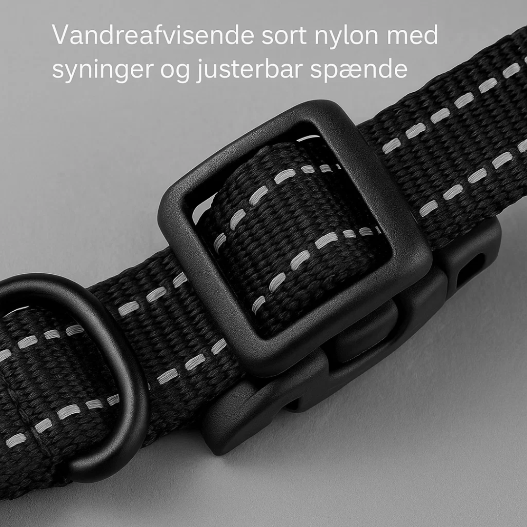 SmartDog | Trådløs Sikkerhedsløsning til Din Hund