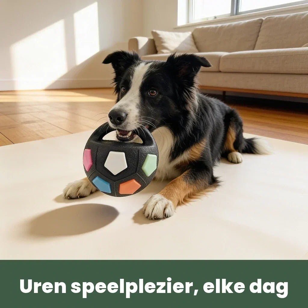 Hållbara hundleksaker för kraftiga tuggare