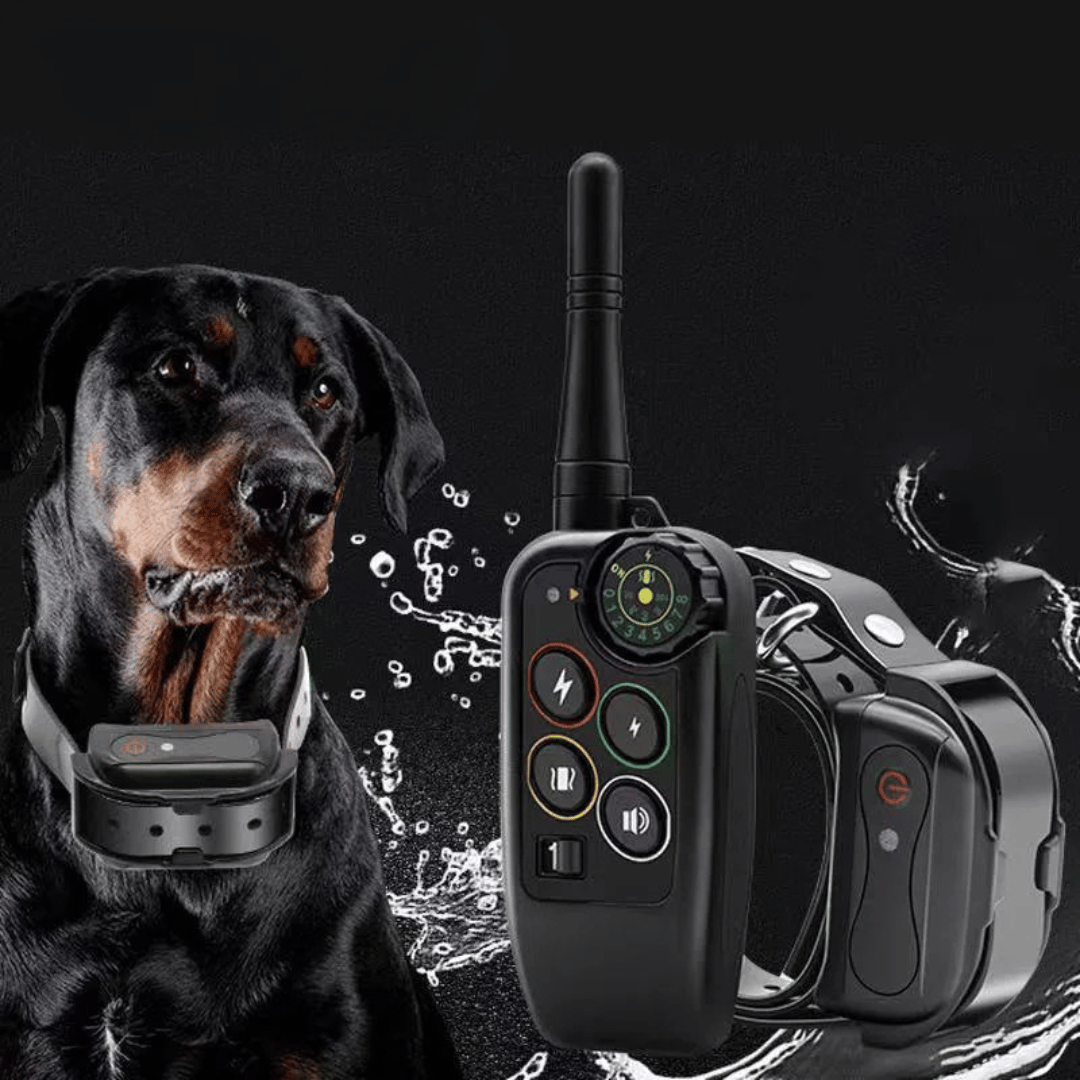 Vandtæt hundetræningskrave med 1000m rækkevidde og fjernbetjening