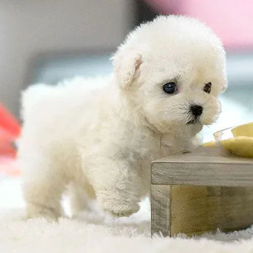 Interaktiv Plush Legetøj i Hundeform - Sødt og Realistisk Venner til Uendelig Sjov