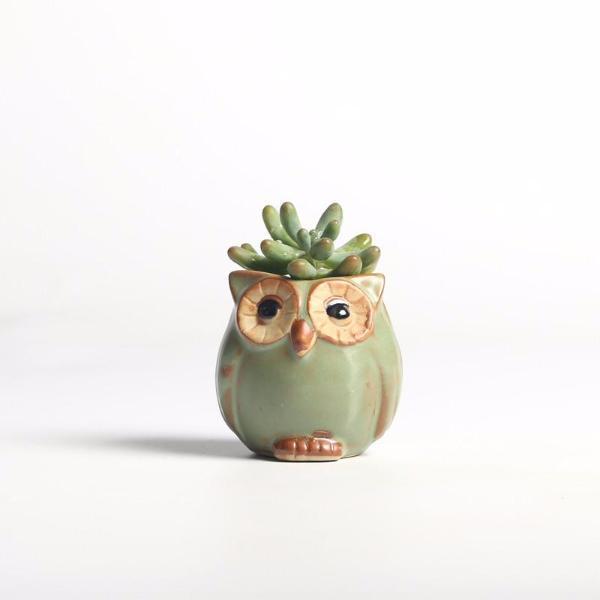 Keramisk blomkruka set med 5 uggledesign