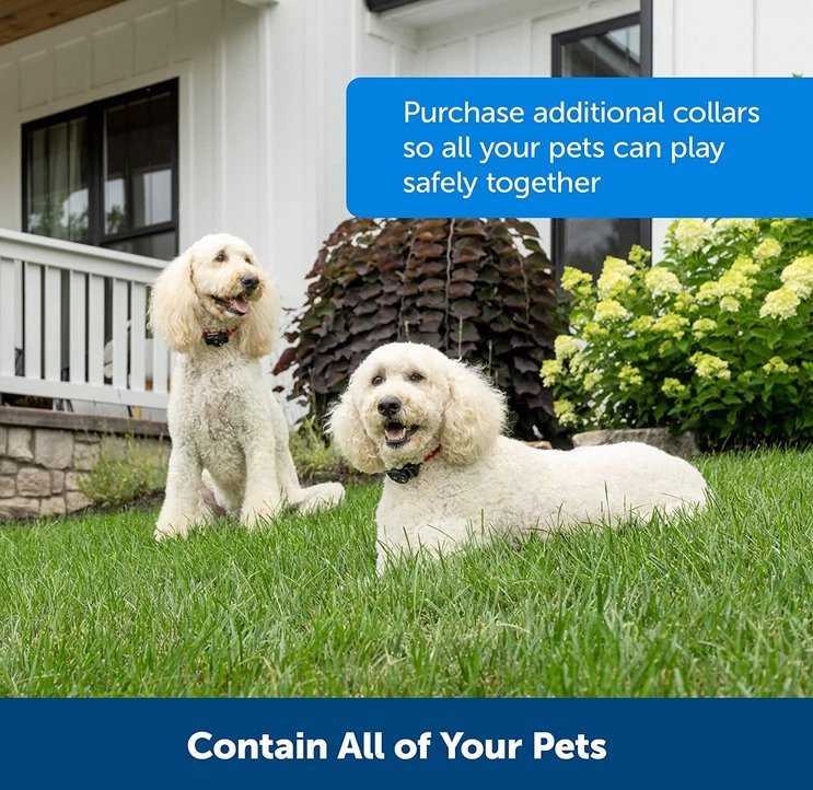 Trådløst Hundefence System - Sikkerhed Uden Besvær